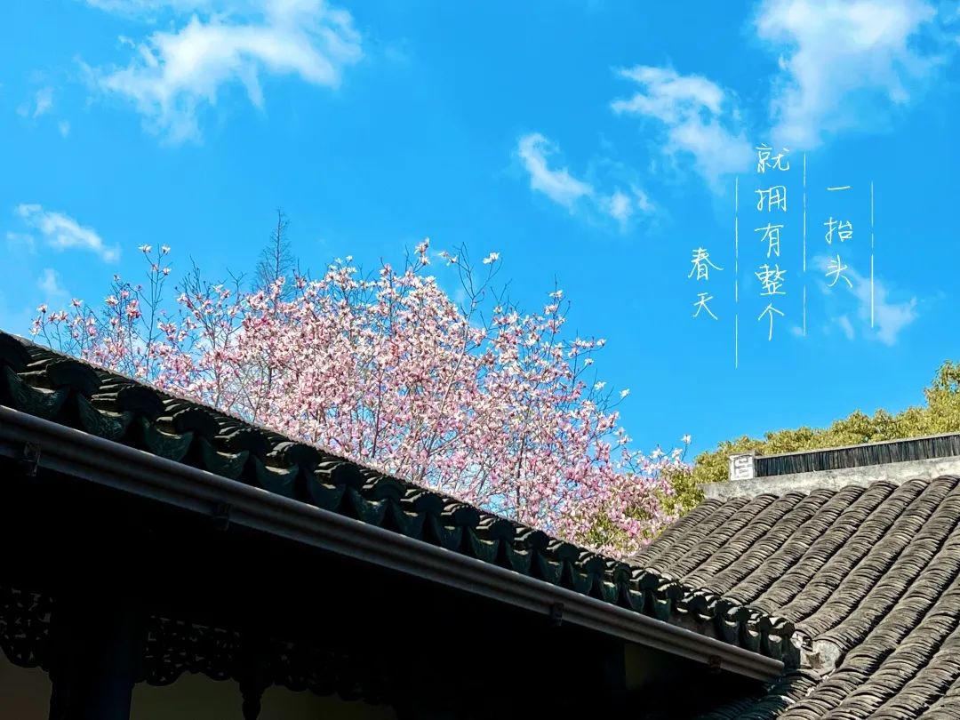 微信图片_20220315153337.jpg