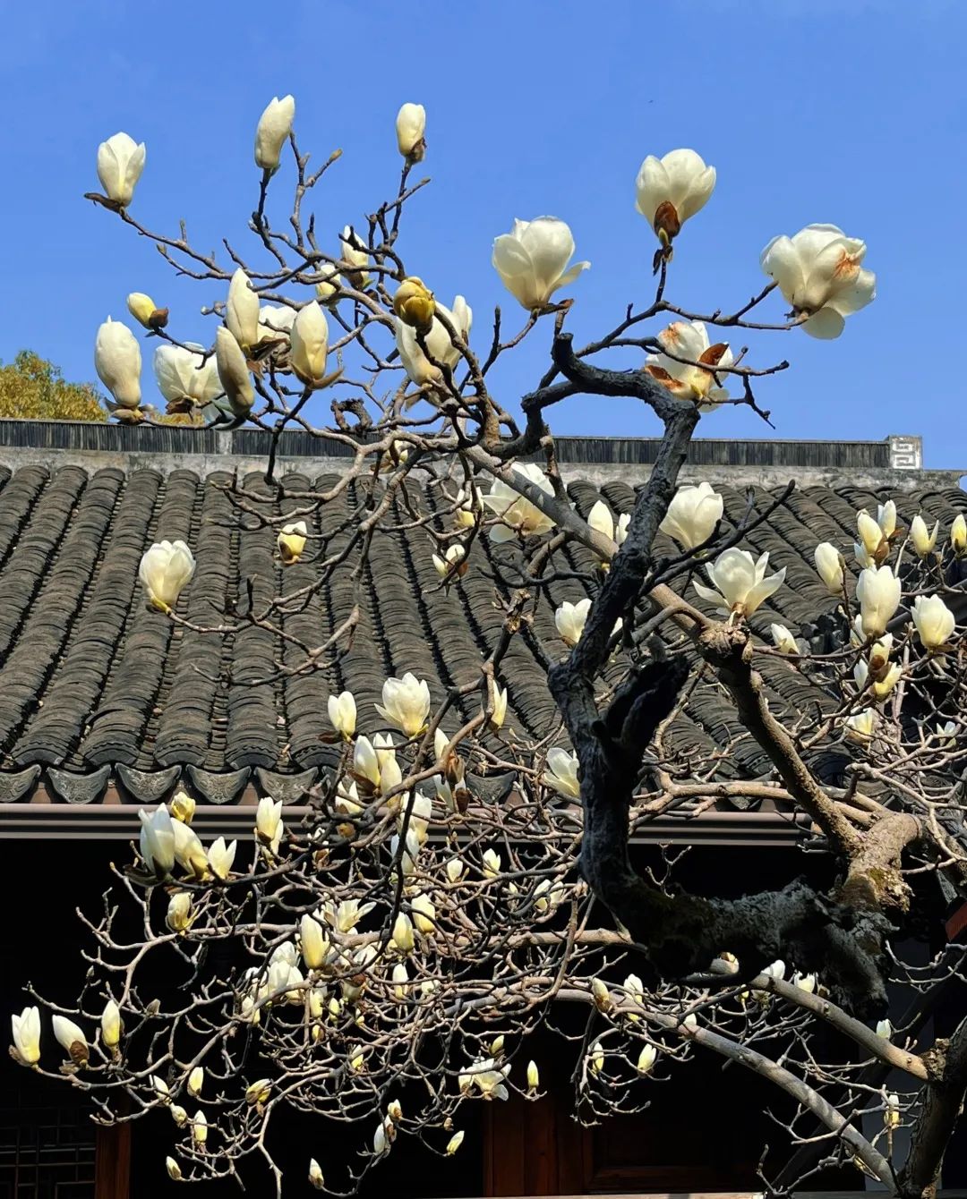 微信图片_20220315153327.jpg