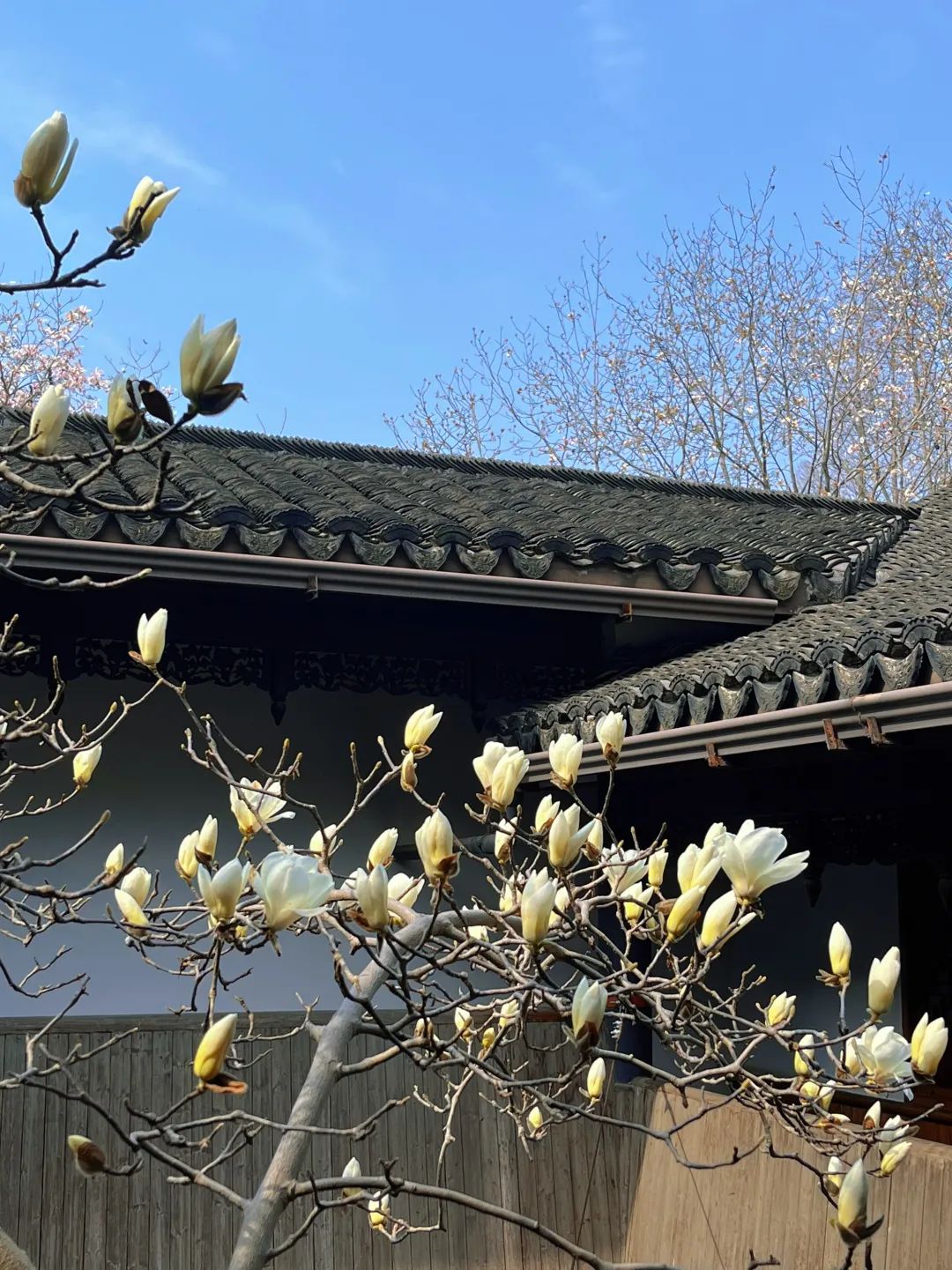 微信图片_20220315153332.jpg