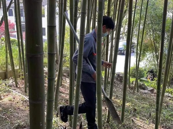 微信图片_20220425230738.jpg